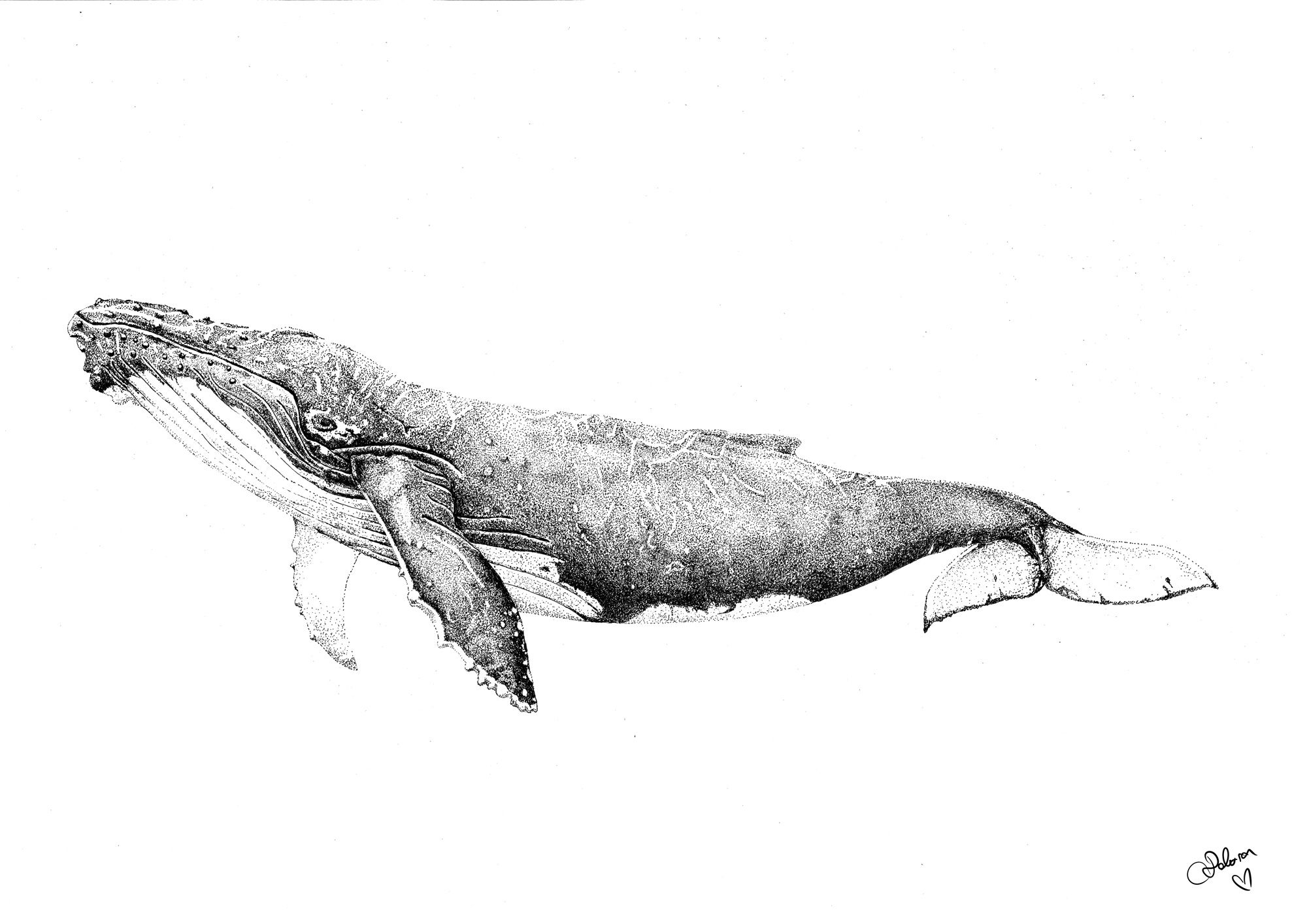 Tusche Malerei Wal